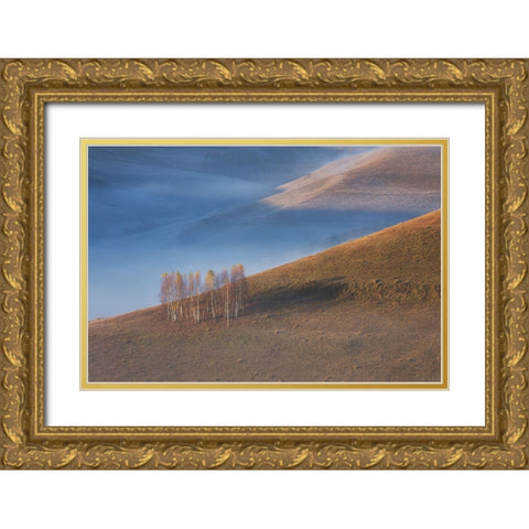 Chromatic Sunrise Gold Ornate Wood Framed Art Print with Double Matting by Ionut Coman, Alexandru