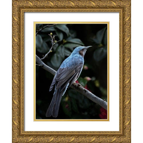My Blue Bird Gold Ornate Wood Framed Art Print with Double Matting by Hirai, Takiko