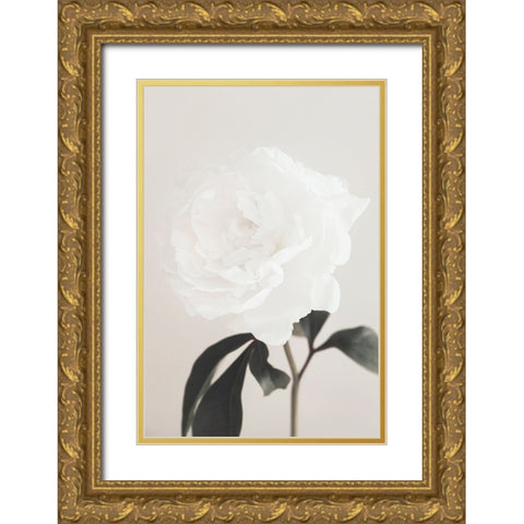 Peony 03 Gold Ornate Wood Framed Art Print with Double Matting by 1x Studio III