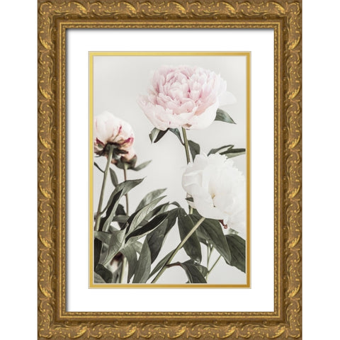 Peony 04 Gold Ornate Wood Framed Art Print with Double Matting by 1x Studio III