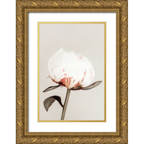 Peony 13 Gold Ornate Wood Framed Art Print with Double Matting by 1x Studio III