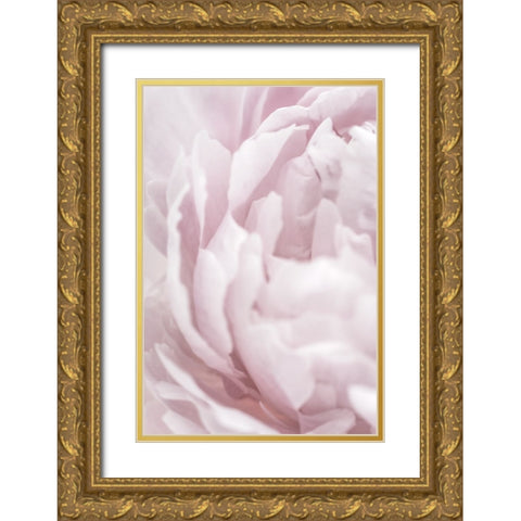 Peony 15 Gold Ornate Wood Framed Art Print with Double Matting by 1x Studio III