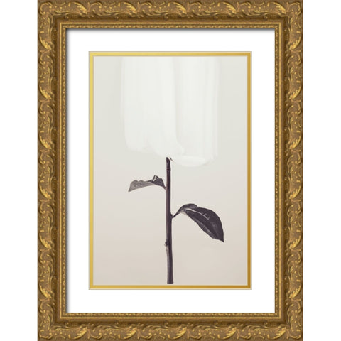 Peony 18 Gold Ornate Wood Framed Art Print with Double Matting by 1x Studio III