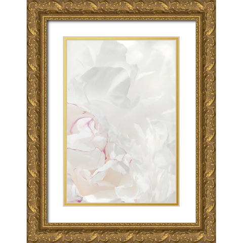 Peony 21 Gold Ornate Wood Framed Art Print with Double Matting by 1x Studio III
