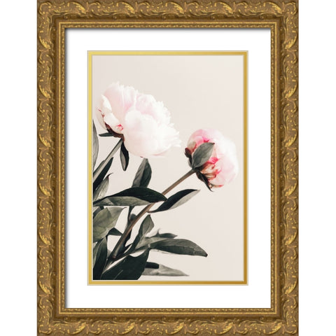 Peony 23 Gold Ornate Wood Framed Art Print with Double Matting by 1x Studio III