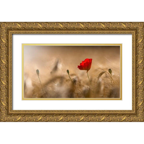 Poppy Gold Ornate Wood Framed Art Print with Double Matting by Coenders, Chris