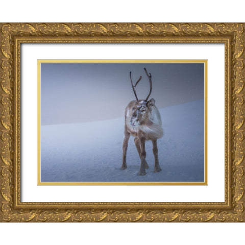 Against The Elements Gold Ornate Wood Framed Art Print with Double Matting by Venier, Giovanni