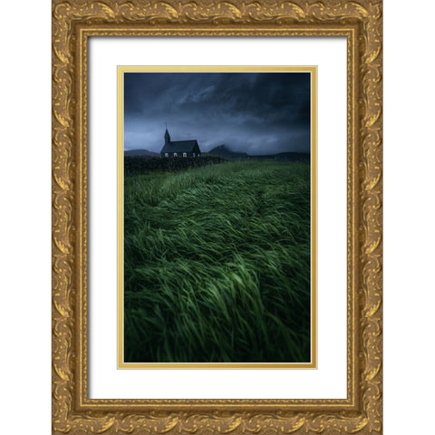 Lonely in the storm Gold Ornate Wood Framed Art Print with Double Matting by Daut, Remo