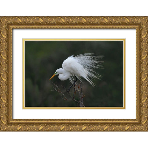 Morning Gold Ornate Wood Framed Art Print with Double Matting by Wan, Anna