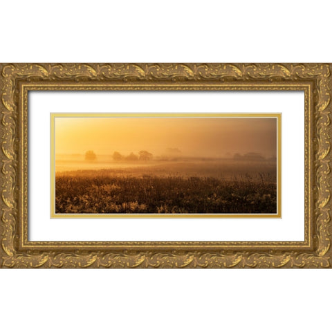 MorningMood Gold Ornate Wood Framed Art Print with Double Matting by Mus, Jurgen