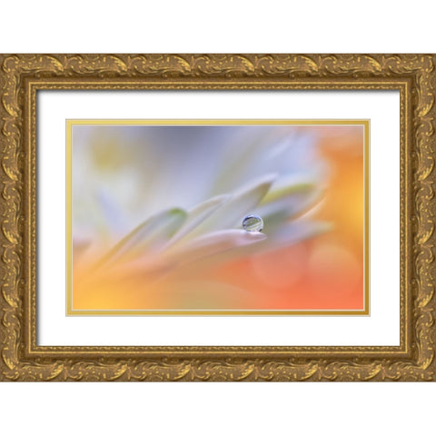 Little Wonders...II Gold Ornate Wood Framed Art Print with Double Matting by Nan, Juliana