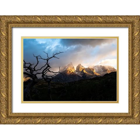 Tentacles Gold Ornate Wood Framed Art Print with Double Matting by Groleau, Michel