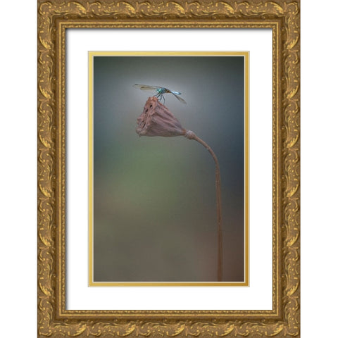 Summer Gold Ornate Wood Framed Art Print with Double Matting by Lu, Linda