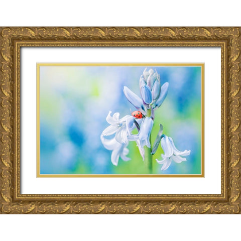 Lady In Blue Gold Ornate Wood Framed Art Print with Double Matting by Parker, Jacky