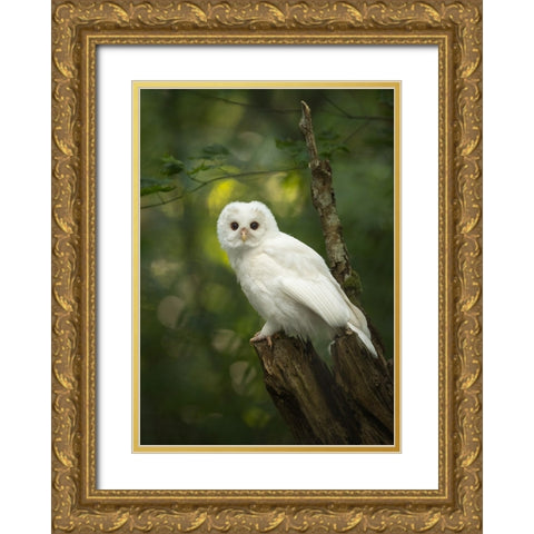 Fairy Gold Ornate Wood Framed Art Print with Double Matting by Xu, Tony