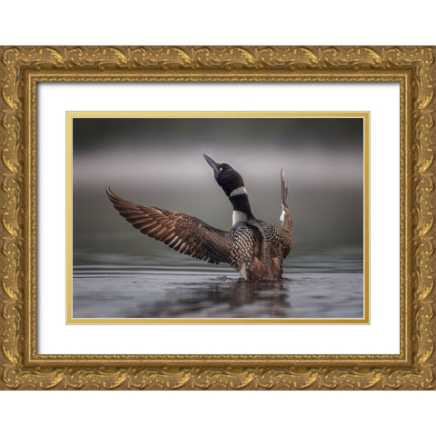 Splash Gold Ornate Wood Framed Art Print with Double Matting by Dan, Kai