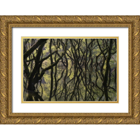 Sunken Forest Gold Ornate Wood Framed Art Print with Double Matting by Irie, Ryohei