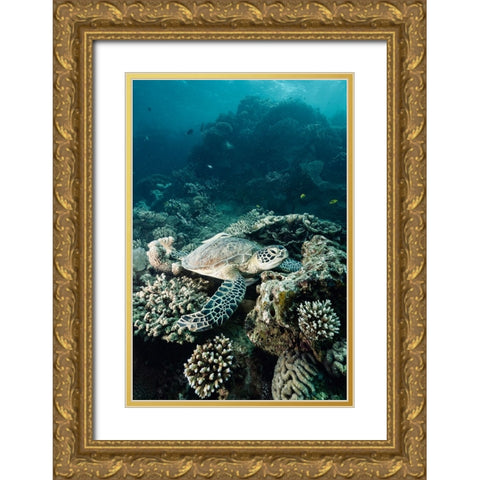 Life Of The Deep Gold Ornate Wood Framed Art Print with Double Matting by Melesan, Serge