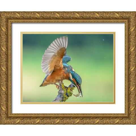 Untitled Gold Ornate Wood Framed Art Print with Double Matting by S., Damian