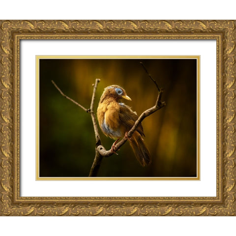 Beautiful Costume Gold Ornate Wood Framed Art Print with Double Matting by Hirai, Takiko