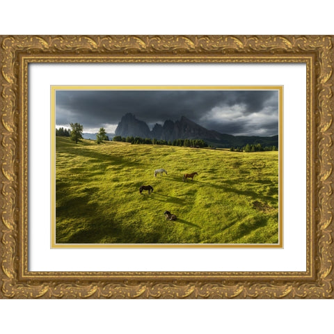 Horses in the Dolomites Gold Ornate Wood Framed Art Print with Double Matting by Krivec, Ales