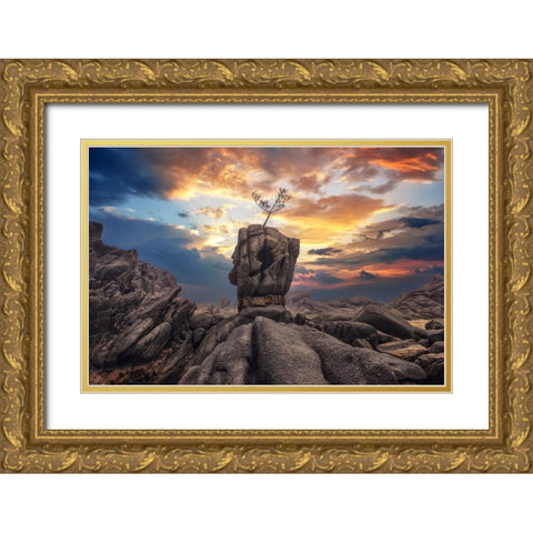 Pine Tree On The Rock Gold Ornate Wood Framed Art Print with Double Matting by Seo, Tiger