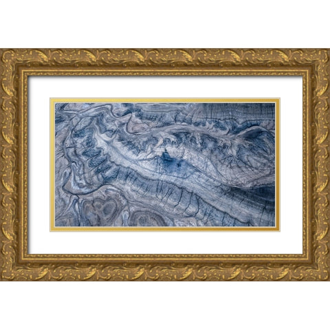 Veins Of The Earth Gold Ornate Wood Framed Art Print with Double Matting by Fan, John