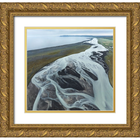 Vein Of The Land Gold Ornate Wood Framed Art Print with Double Matting by Dou, Shenshen