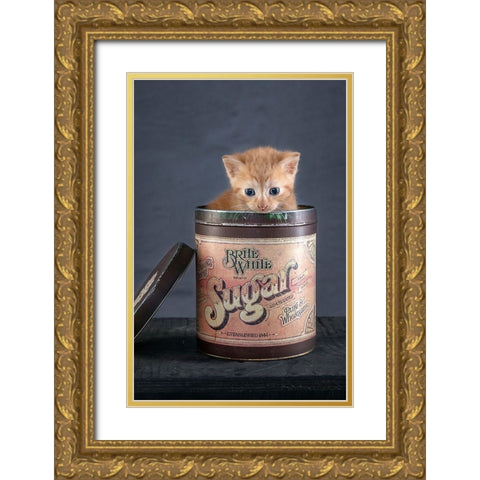 Chip Gold Ornate Wood Framed Art Print with Double Matting by de Jong, Arendina