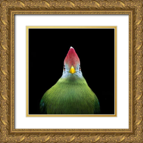 Untitled Gold Ornate Wood Framed Art Print with Double Matting by Pandya, Hardik