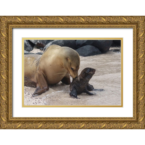 Mother Worries Gold Ornate Wood Framed Art Print with Double Matting by Gross, Benny