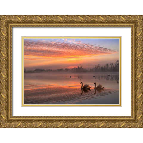 Rosy Romance Gold Ornate Wood Framed Art Print with Double Matting by An, Anna