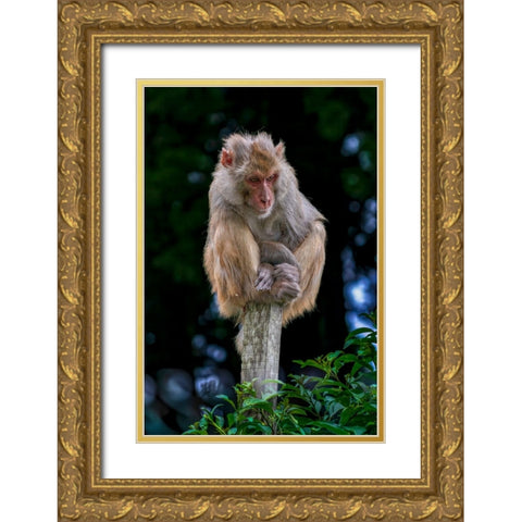 Lost In An Overcrowded World Gold Ornate Wood Framed Art Print with Double Matting by Sachdeva, Samir