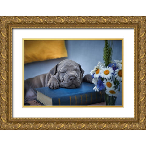 Sweet Dreams... Gold Ornate Wood Framed Art Print with Double Matting by Kazun, Andrii