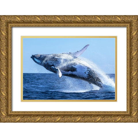 The Escort Gold Ornate Wood Framed Art Print with Double Matting by Melesan, Serge