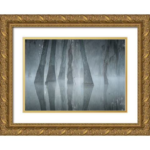 Lake Martin Gold Ornate Wood Framed Art Print with Double Matting by Wei, Willa