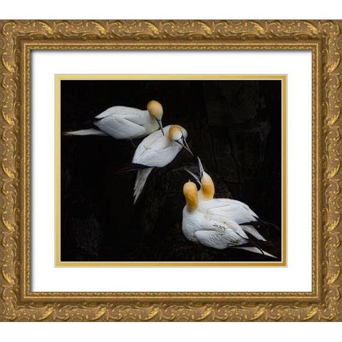 Hi Neighbor Gold Ornate Wood Framed Art Print with Double Matting by Fu, Molly