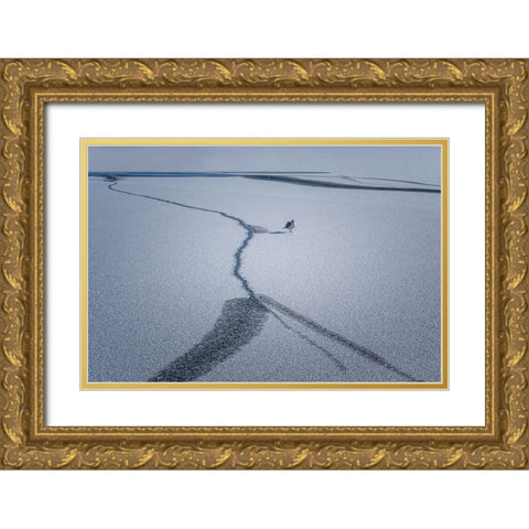 After The Snow... Gold Ornate Wood Framed Art Print with Double Matting by Chen, Jennifer