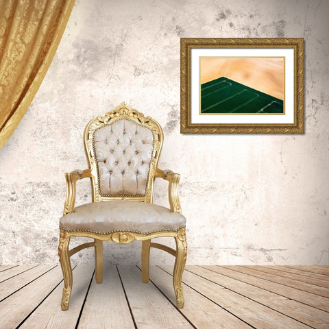 Green Field Gold Ornate Wood Framed Art Print with Double Matting by Prioteasa, Sebastian