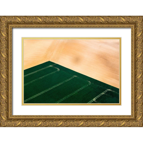 Green Field Gold Ornate Wood Framed Art Print with Double Matting by Prioteasa, Sebastian
