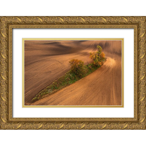 South Moravia Gold Ornate Wood Framed Art Print with Double Matting by Kravanja, Jure