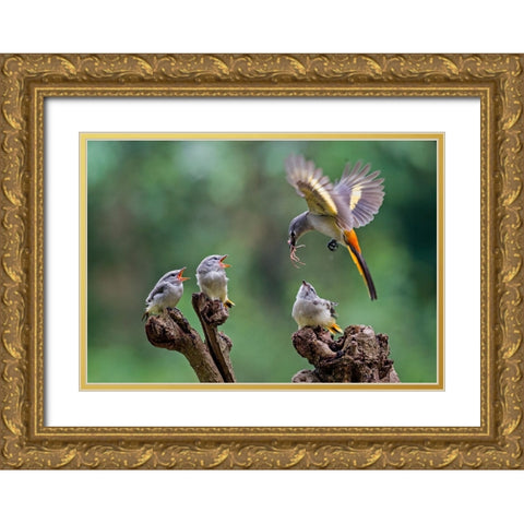 I Am Coming 2 Gold Ornate Wood Framed Art Print with Double Matting by Muliani Hartojo, Angela