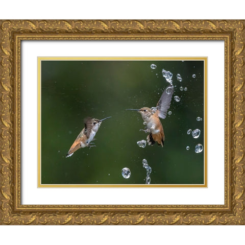 Summer Fun Gold Ornate Wood Framed Art Print with Double Matting by Tseng, Judy