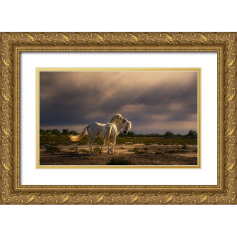 After The Storm...Light! A732210 Gold Ornate Wood Framed Art Print with Double Matting by Joanaduenas