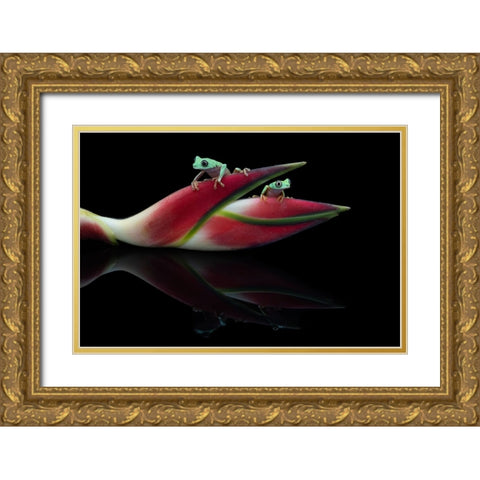 Lema Frogs Gold Ornate Wood Framed Art Print with Double Matting by Wolbers, Louise