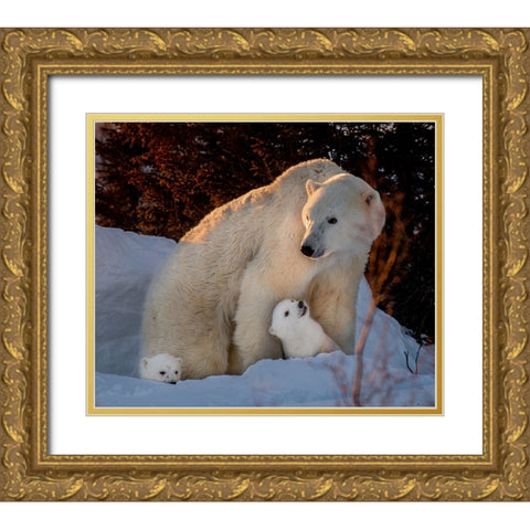 Untitled Gold Ornate Wood Framed Art Print with Double Matting by Tao, Liwen