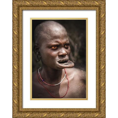 Labial Disc Family Gold Ornate Wood Framed Art Print with Double Matting by Tianhuayu