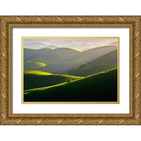 Afternoon Light On Hills Gold Ornate Wood Framed Art Print with Double Matting by Mao, Dianne