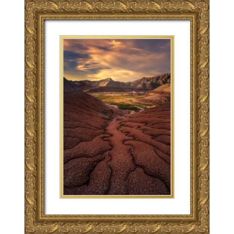 Badlands  Harmony Gold Ornate Wood Framed Art Print with Double Matting by P., Ruiqing