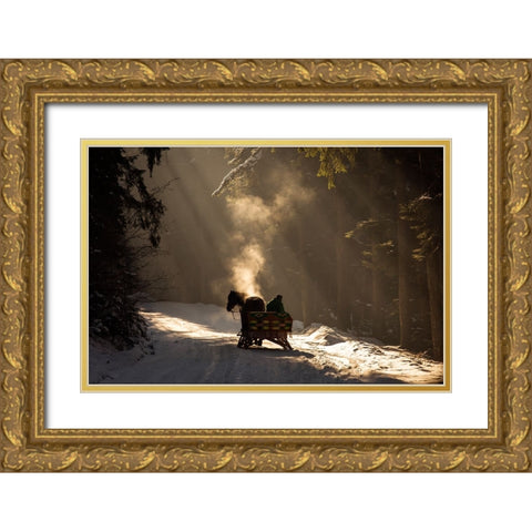 Into The Forest Gold Ornate Wood Framed Art Print with Double Matting by Mirica, Dan
